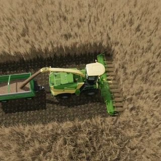 Sammle F R Zuckerrohr Und Pappel V Landwirtschafts Simulator Mod Fs Mod