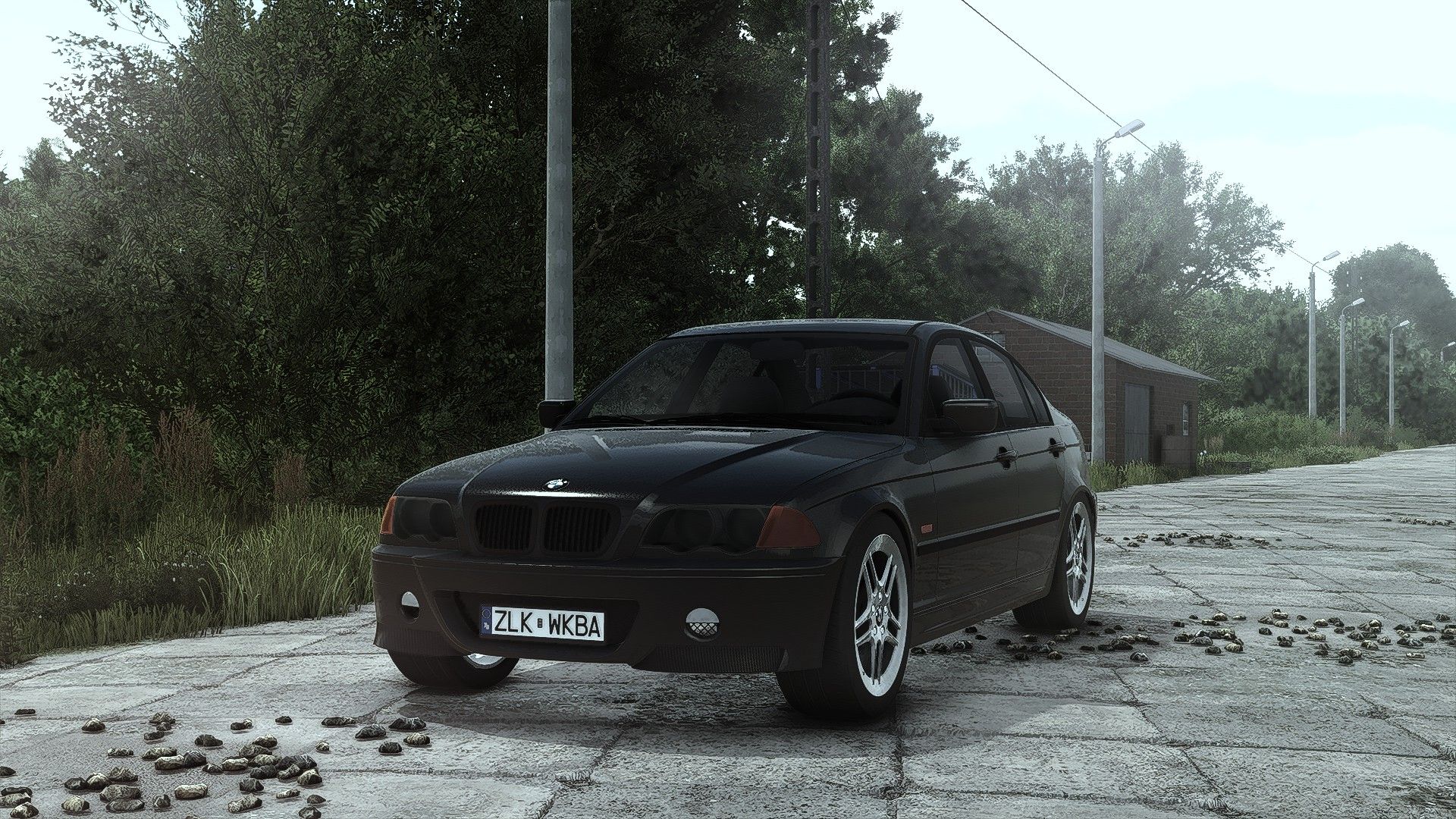 BMW E46 V1.0.0.2