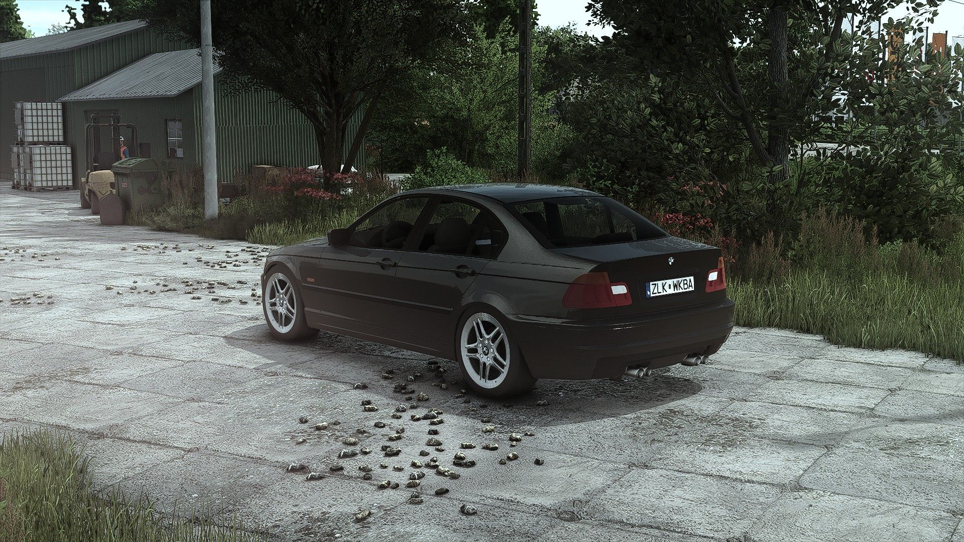 BMW E46 V1.0.0.2 thumbnail 4